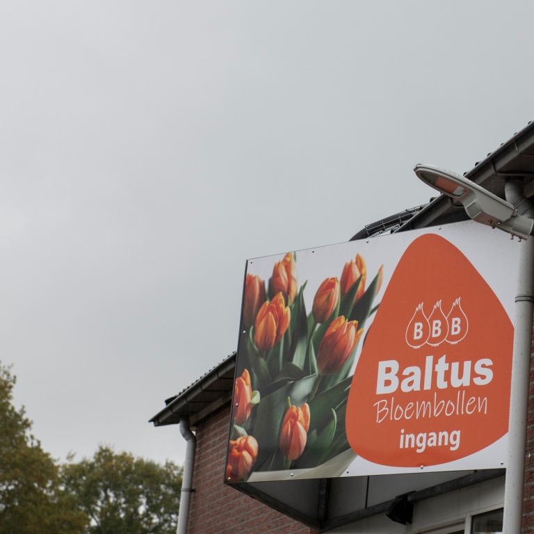 Aanpassen verlichting Baltus Holland